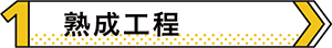セルキャスト製法 01熟成工程